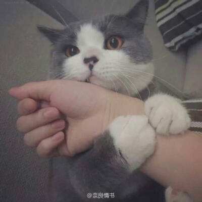 葫芦降妖记官方版下载
